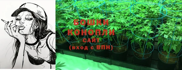 мдпв Верхний Тагил