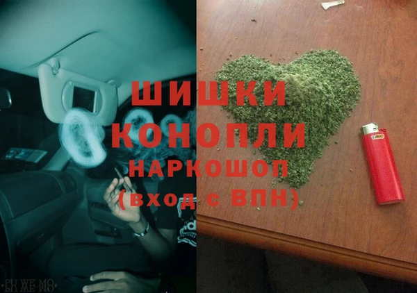 мдпв Верхний Тагил